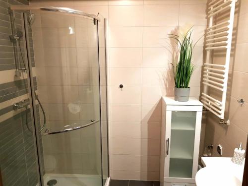 a bathroom with a glass shower and a plant on a counter at Apartament Polanki in Kołobrzeg