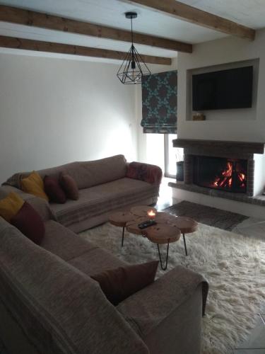 a living room with a couch and a fireplace at Awesomnest in Dhimitsana