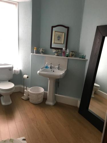 
a bathroom with a toilet, sink, and mirror at Park Guest House in Inverness
