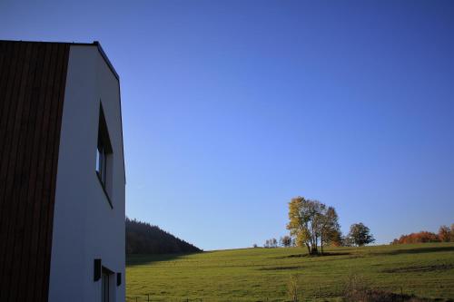 a tree in a field next to a building at Apartmány Hutisko 769 in Hutisko