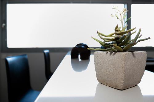 a plant in a pot sitting on a table at Seaview Pool Villa near Beach and Athens Airport in Porto Rafti
