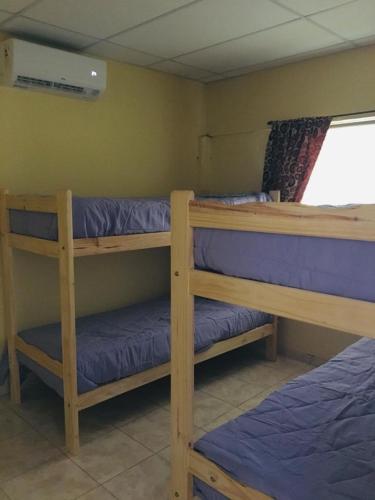 Giường trong phòng chung tại Ventanas al sur 2