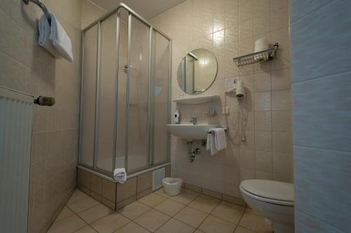 a bathroom with a shower and a toilet and a sink at Bistro-Pension Vis-a-Vis in Vohburg an der Donau