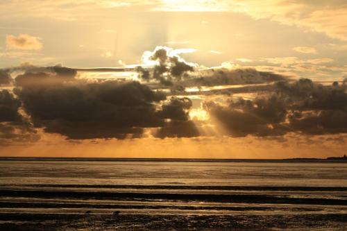 Wattenkieker photo 29