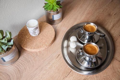 Tetera y cafetera en Apartmán u Horynů - Hýblova