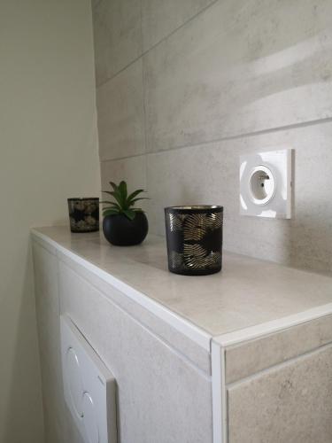 un comptoir avec une usine et un distributeur de papier toilette dans l'établissement Le Cocon de Tom, à Colmar