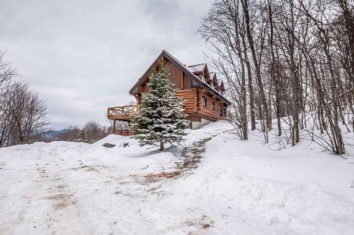 a log cabin with a christmas tree in the snow at RCNT Chalets Mont-Tremblant in Lac-Superieur