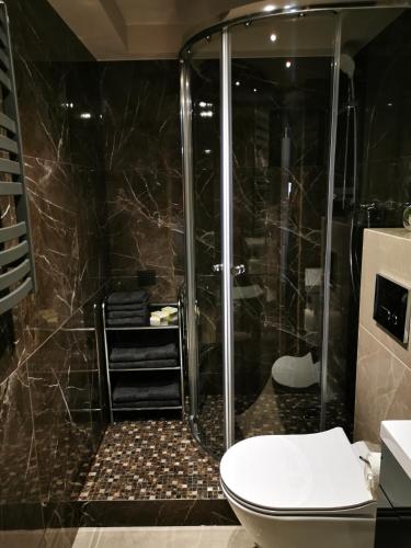 un bagno con doccia e WC al suo interno di Old Town Loft a Klaipėda