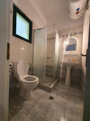a bathroom with a toilet and a shower and a sink at Countryside Studios in Agia Effimia
