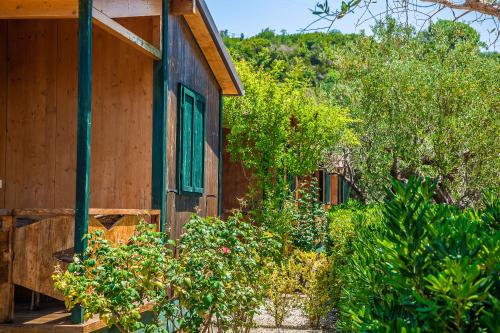 a wooden house with plants in front of it at Agriturismo Valle di Marco in Palinuro