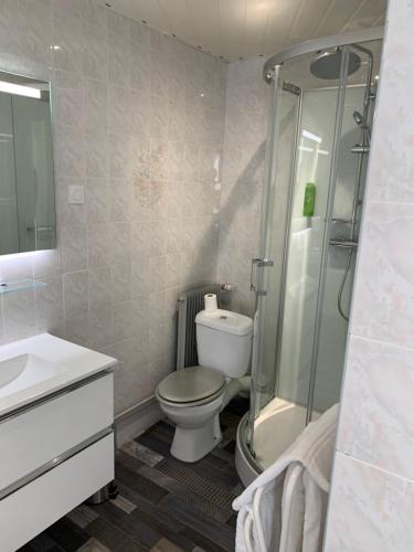 a bathroom with a toilet and a shower at Le Melchior in Sainte-Terre