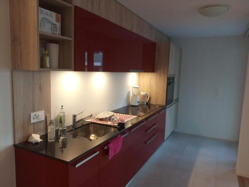 a kitchen with red cabinets and a counter top at Appartement Daria Cossonay in Cossonay