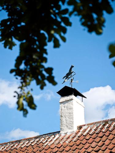 a bird perched on the top of a roof at Country House Duinhof in De Haan