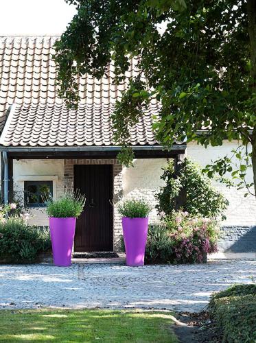 two pink pots sitting in front of a house at Country House Duinhof in De Haan
