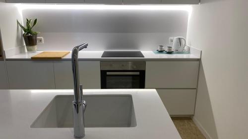 a kitchen with a sink and a counter top at JASALPI único apartamento delante del Lago de Banyoles in Banyoles