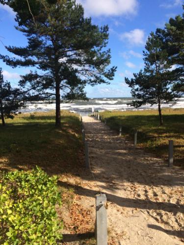 a dirt path leading to a beach with trees at Villa Sirene Whg 4 Königsstuhl - 5 Sterne in Binz