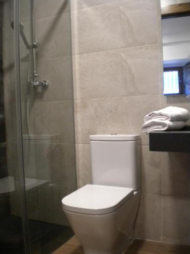 a bathroom with a toilet and a glass shower at Casa de Aldea Araceli in Berducedo