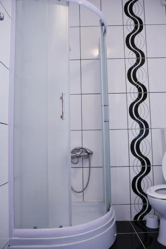 a shower in a bathroom with a toilet at Apartman Ćorić Posušje in Posušje