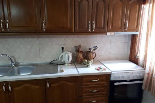 Kuchyň nebo kuchyňský kout v ubytování Eufrosini Guesthouse