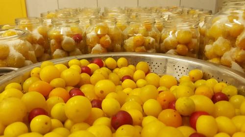 a bunch of jars filled with different types of fruit at Rezydencja 5 Dębów in Międzyzdroje
