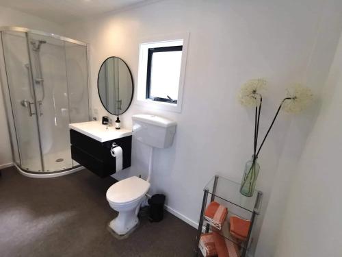 a bathroom with a shower and a toilet and a sink at Clifden Pitstop in Eastern Bush