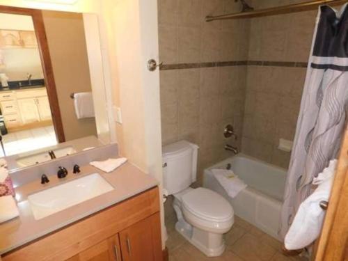 a bathroom with a toilet and a tub and a sink at Breakaway West Studio Condo in Vail