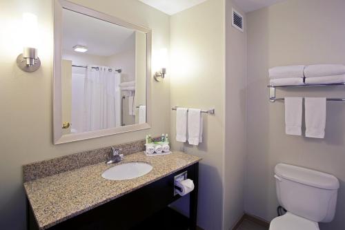 y baño con lavabo, aseo y espejo. en Holiday Inn Express Hotel & Suites Grand Rapids-North, an IHG Hotel en Grand Rapids
