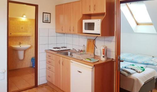 a small kitchen with a sink and a microwave at Apartments Iris in Liptovský Mikuláš