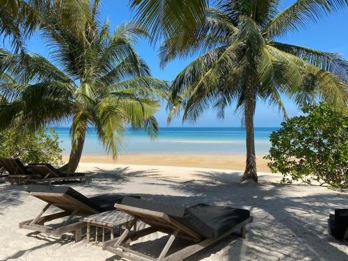una spiaggia con sedie, palme e l'oceano di Tamu Koh Rong a Koh Rong Island
