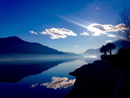a view of a body of water with palm trees at Villa Rita in Domaso