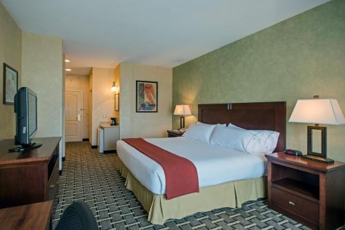 a hotel room with a large bed and a television at Holiday Inn Express Hotel & Suites Youngstown North-Warren/Niles by IHG in Warren