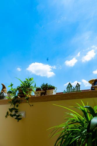 a balcony with potted plants on a ledge at Sant'Andrea Agriturismo con cantina Martignago Vignaioli Asolo Prosecco Docg Wines in Maser