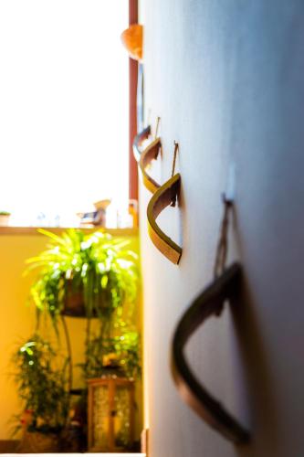 a close up of a door with a plant at Sant'Andrea Agriturismo con cantina Martignago Vignaioli Asolo Prosecco Docg Wines in Maser