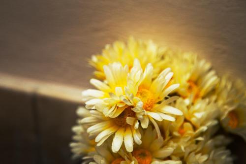 a bunch of yellow flowers in a vase at Sant'Andrea Agriturismo con cantina Martignago Vignaioli Asolo Prosecco Docg Wines in Maser