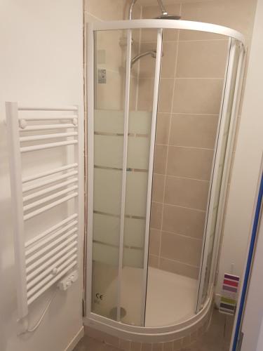 a shower with a glass door in a bathroom at Studio Le Crès in Le Crès