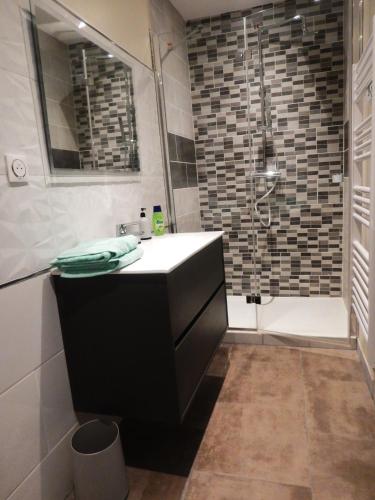 a bathroom with a sink and a shower at Studio moderne Argeles sur mer.La plage à pieds, Espagne à 30mn in Argelès-sur-Mer