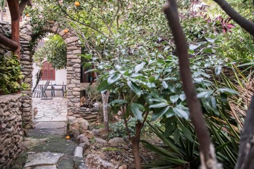 an archway in a garden with plants at Bella Vita Style rooms & apartments in Pitsidia
