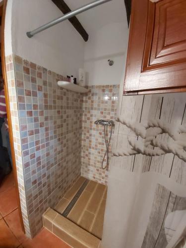baño con ducha con azulejos en la pared en Masia Tona, en L'Ampolla