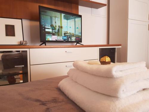 TV a/nebo společenská místnost v ubytování Alps Apartment
