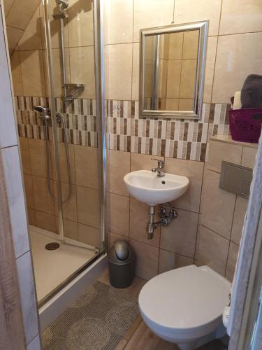 a bathroom with a shower and a toilet and a sink at Agroturystyka Piekielnik in Piekielnik