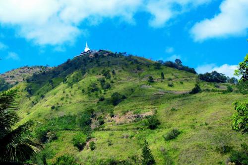 Landskap semula jadi dekat dengan homestay