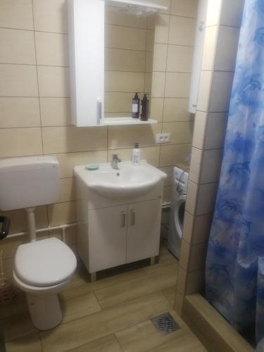 a bathroom with a white sink and a toilet at Apartment Helena in Žabljak
