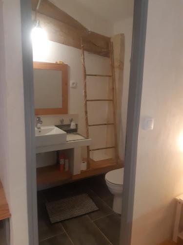 Saint-Sulpice-de-FaleyrensにあるAu Vélo dans l'Arbreのバスルーム(洗面台、トイレ付)