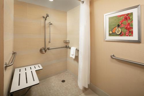 a bathroom with a shower and a toilet with a picture at Holiday Inn Austin -Town Lake by IHG in Austin