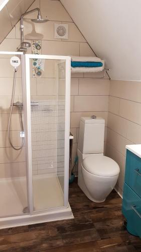 a bathroom with a shower and a toilet in a room at NatureZenKota in Mittlach