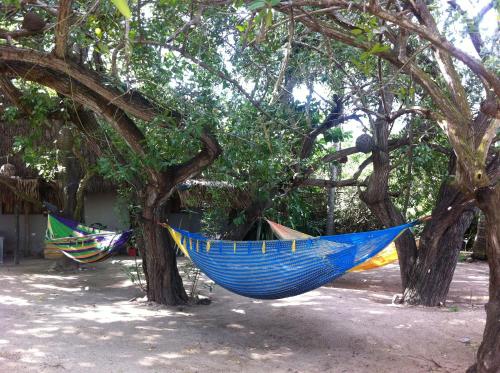two hammocks hanging from trees in a yard at Junto al Rio Bungalows & Suites in Sayulita
