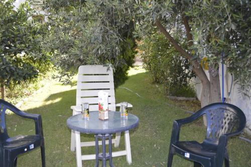 Ein Garten an der Unterkunft Zahner studio
