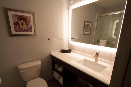a bathroom with a sink and a toilet and a mirror at Holiday Inn Alexandria - Downtown, an IHG Hotel in Alexandria