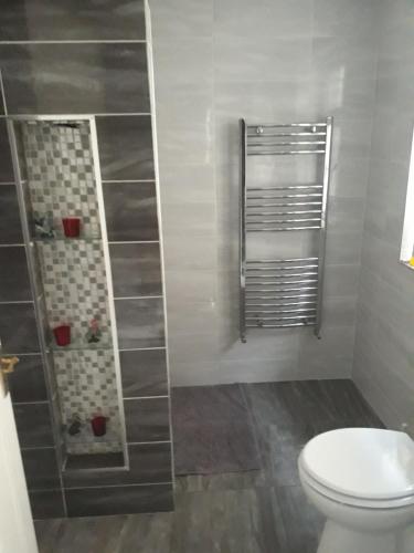 a bathroom with a toilet and a shower at Apartment in the Heart of Kerry in Knockeen Cross Roads