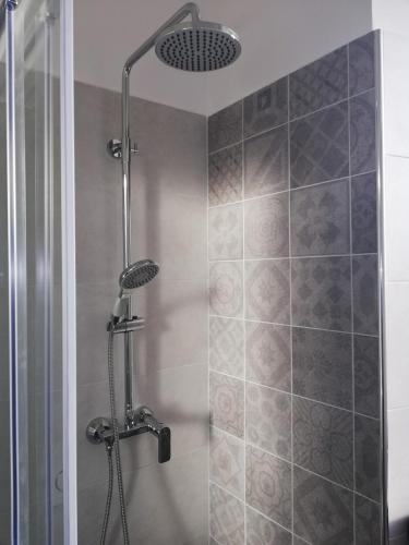 a shower with a shower head in a bathroom at Apartment Stefania on the beach in Koromačno